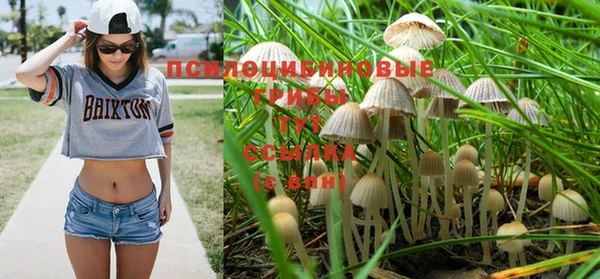 дмт Карпинск