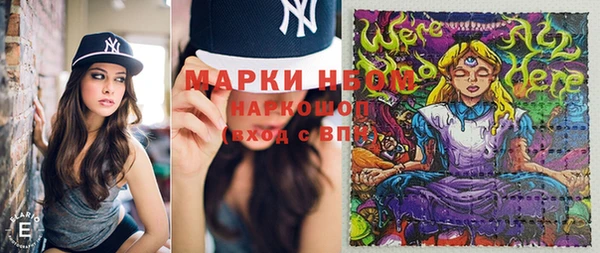 сатива Алексин