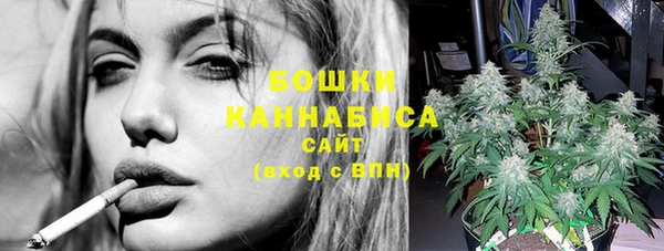 ПСИЛОЦИБИНОВЫЕ ГРИБЫ Абаза