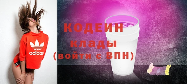 ПСИЛОЦИБИНОВЫЕ ГРИБЫ Абаза