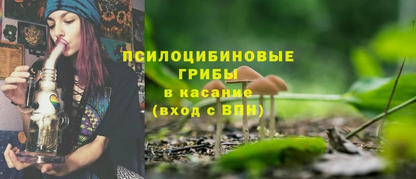 сатива Алексин