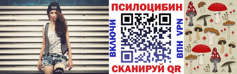купить наркотик  Благодарный  Галлюциногенные грибы Magic Shrooms 