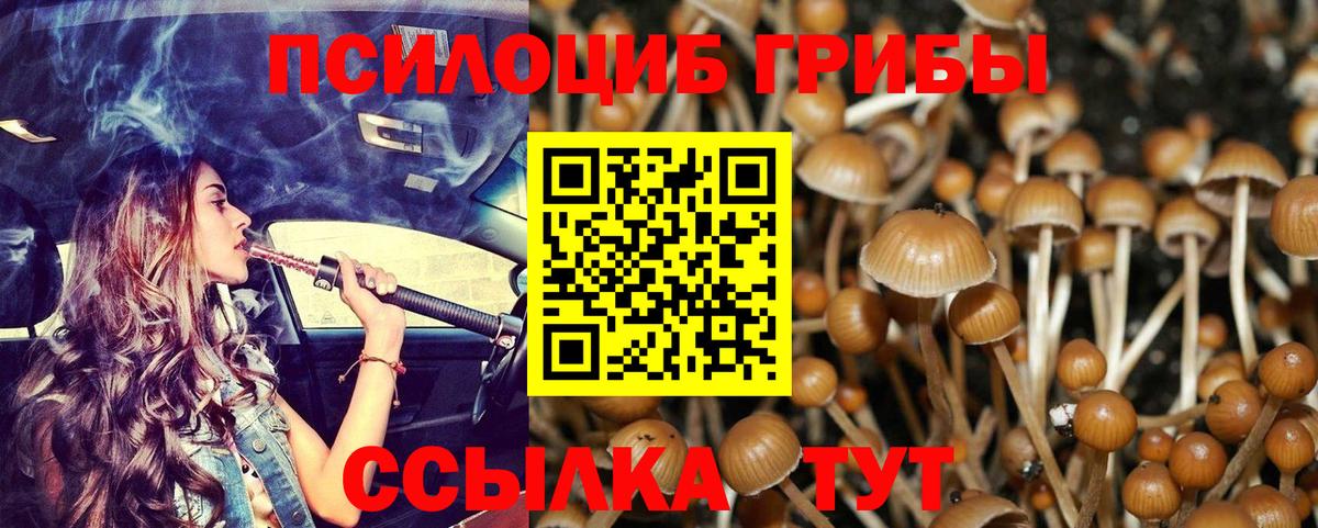 Галлюциногенные грибы MAGIC MUSHROOMS Благодарный