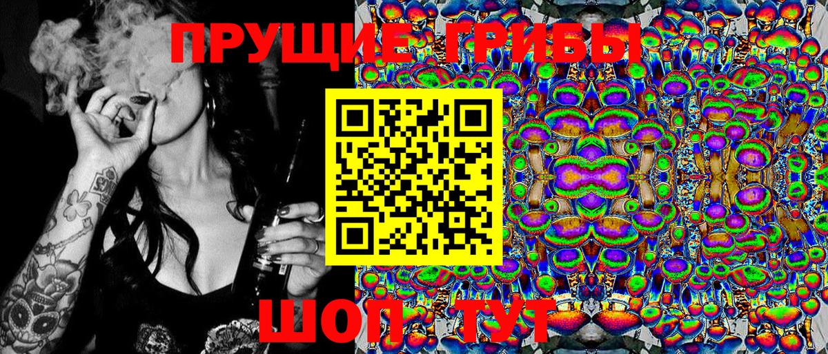 Благодарный  купить закладку  Вход с VPN  Галлюциногенные грибы Psilocybine cubensis 