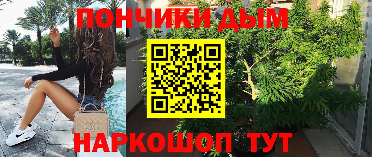 Каннабис ГИДРОПОН  МАРИХУАНА SATIVA & INDICA  Вход с VPN  Бошки Шишки SATIVA & INDICA  Благодарный 